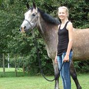 Anden særlig race Remon