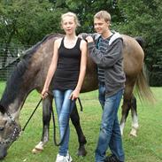 Anden særlig race Remon