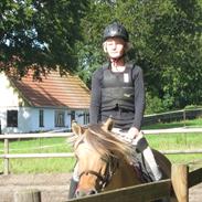 Anden særlig race Trine-Rideskole hest