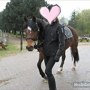 Anden særlig race Melissa *rideskolepony*