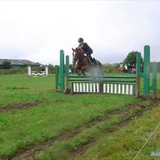 Hollandsk Sportspony Marousha - Hvil i fred :'( <3