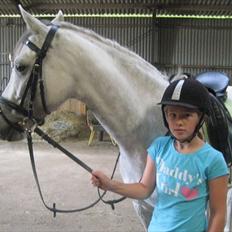 DSP Holmgaards Galant SOLGT ;(