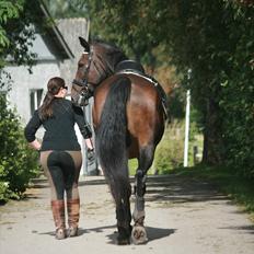Oldenborg Skjaldhøj Tobias 