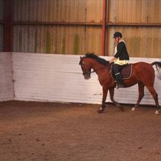 Anden særlig race FREEMAN <3 