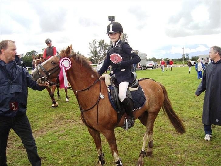 Anden særlig race Bambam - Sjællandsmesterskab 2010 - 3. plads billede 11