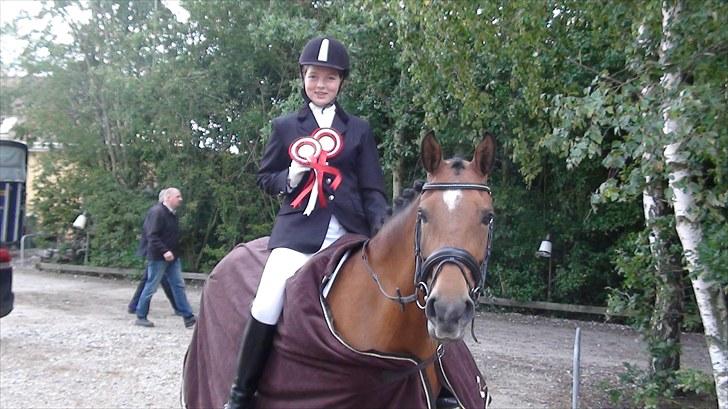 Hollandsk Sportspony Andorra *B-pony* Solgt billede 16