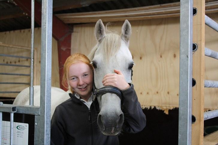 Anden særlig race Bob - I will always love you.. billede 2