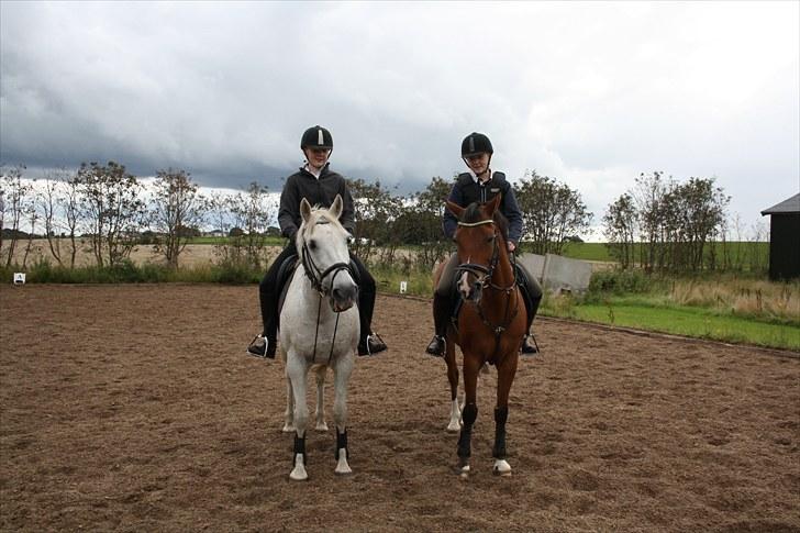 Anden særlig race Bob - Bob og mig & min søster og Dew (Tulla More Dew).. billede 12