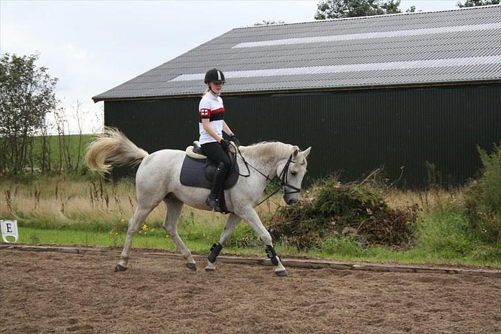 Anden særlig race Bob - Sej hale! billede 13