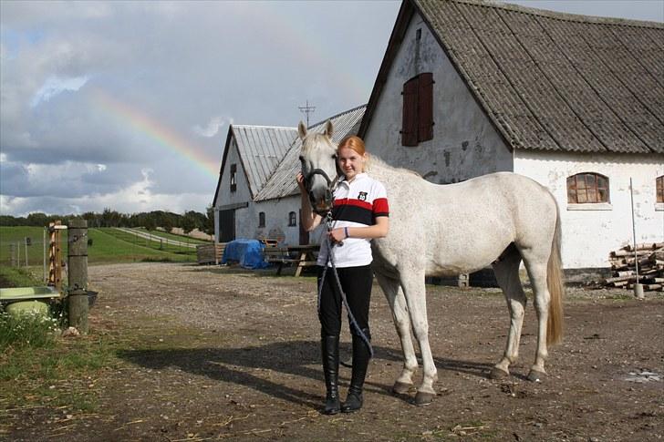 Anden særlig race Bob - Mig og min Bobber en dag i sommervarmen, med 2 regnbuer i baggrunden... billede 14