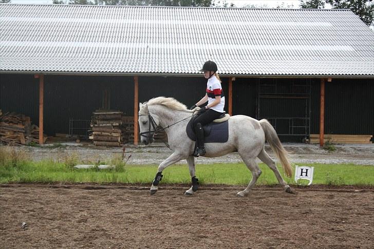 Anden særlig race Bob - Galooooop! billede 15