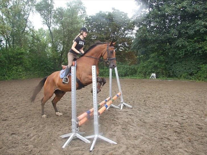 Anden særlig race Molino - Første gang vi springer sammen - 2010 billede 4