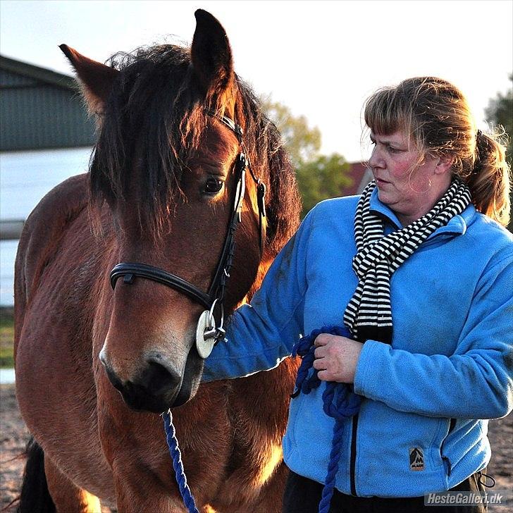 Belgier Rasmus  - Mig og Rasmus. okt.2010. billede 9