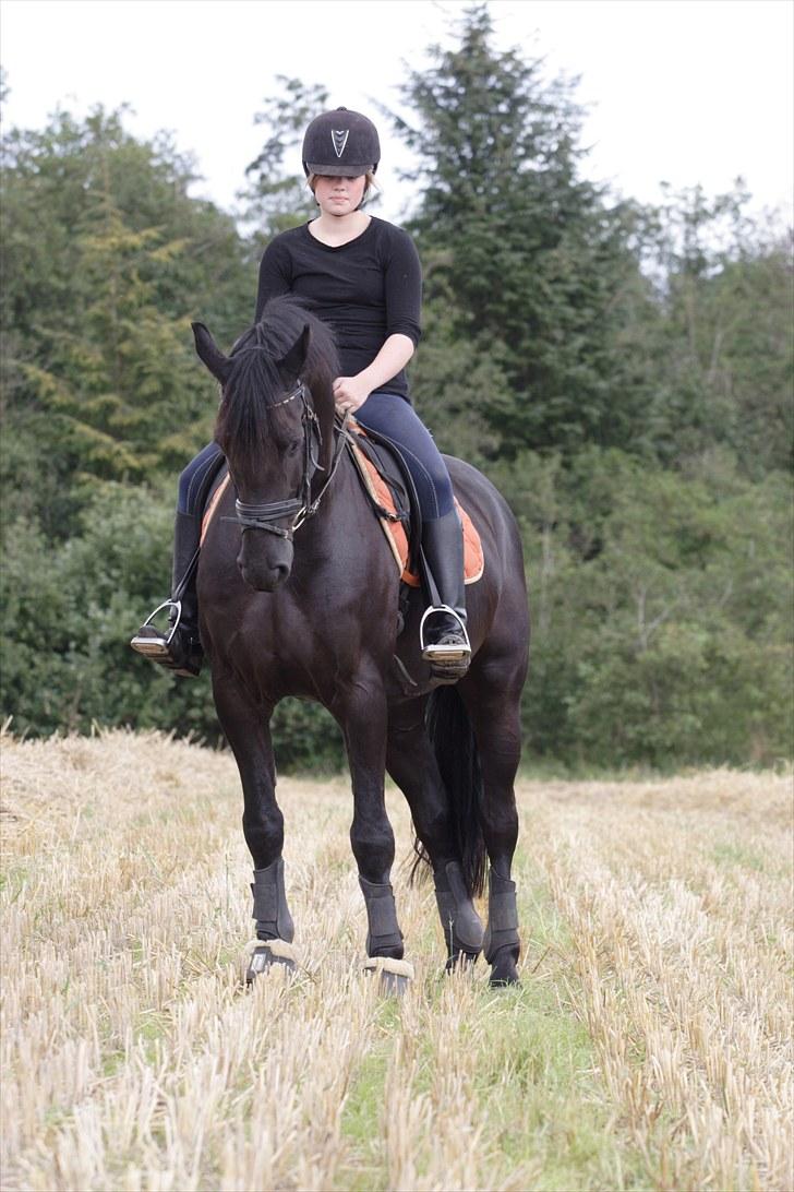 Anden særlig race Noah - ..To me you are everything in life<3 billede 8