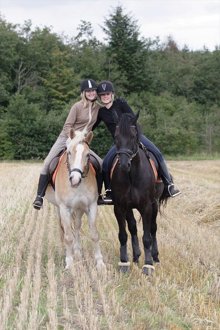 Anden særlig race Noah - .. Et billede siger mere end 1000 ord<3 billede 9