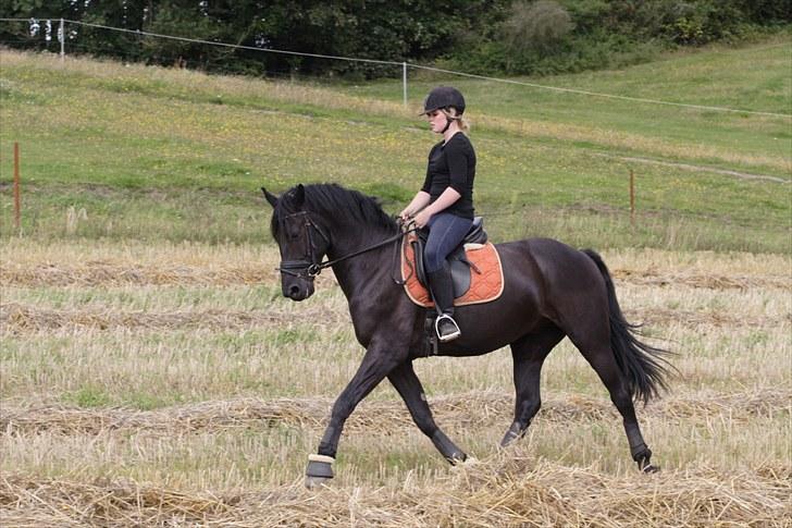 Anden særlig race Noah - ... Ville ønske jeg kunne stoppe tiden, så ville jeg leve i det her øjeblik forevigt<3 billede 10