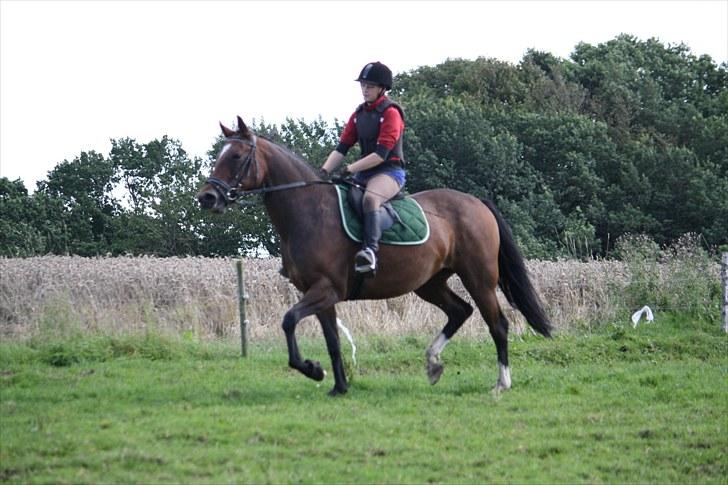 Anden særlig race Luna - En af de første gange jeg red hende. Foto: Min mor billede 2