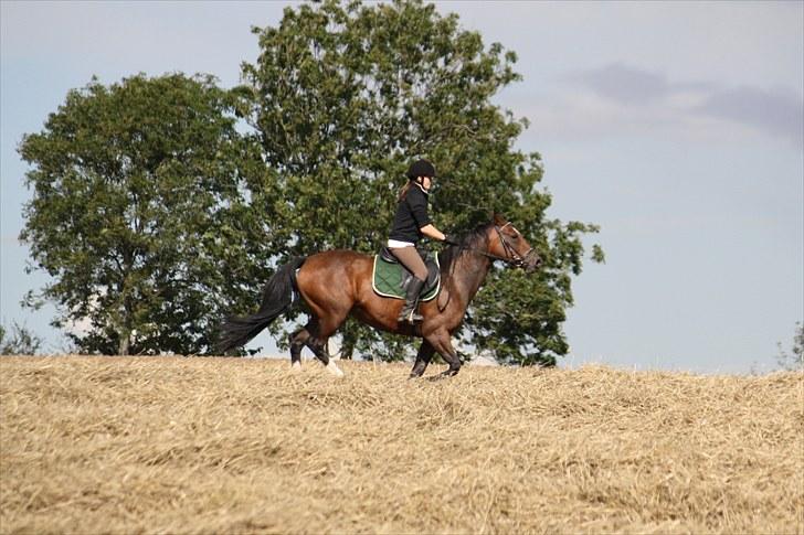 Anden særlig race Luna - Mig og Luna ude på marken :D Foto : Min mor billede 4