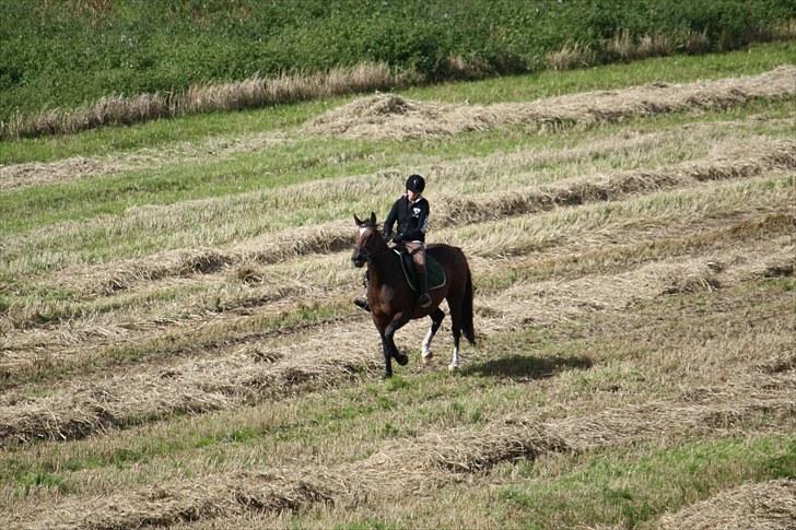 Anden særlig race Luna - Foto : Min mor billede 5
