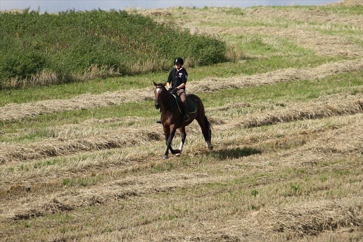 Anden særlig race Luna - Foto : Min mor billede 6