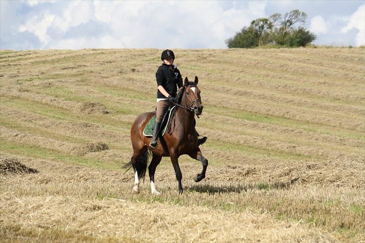 Anden særlig race Luna - Foto : Min mor billede 7