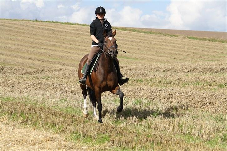 Anden særlig race Luna - Foto : Min mor billede 8