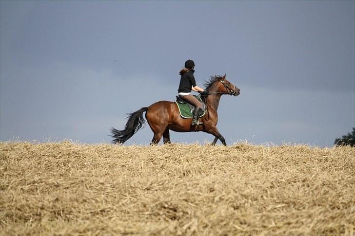 Anden særlig race Luna - Foto : Min mor billede 9