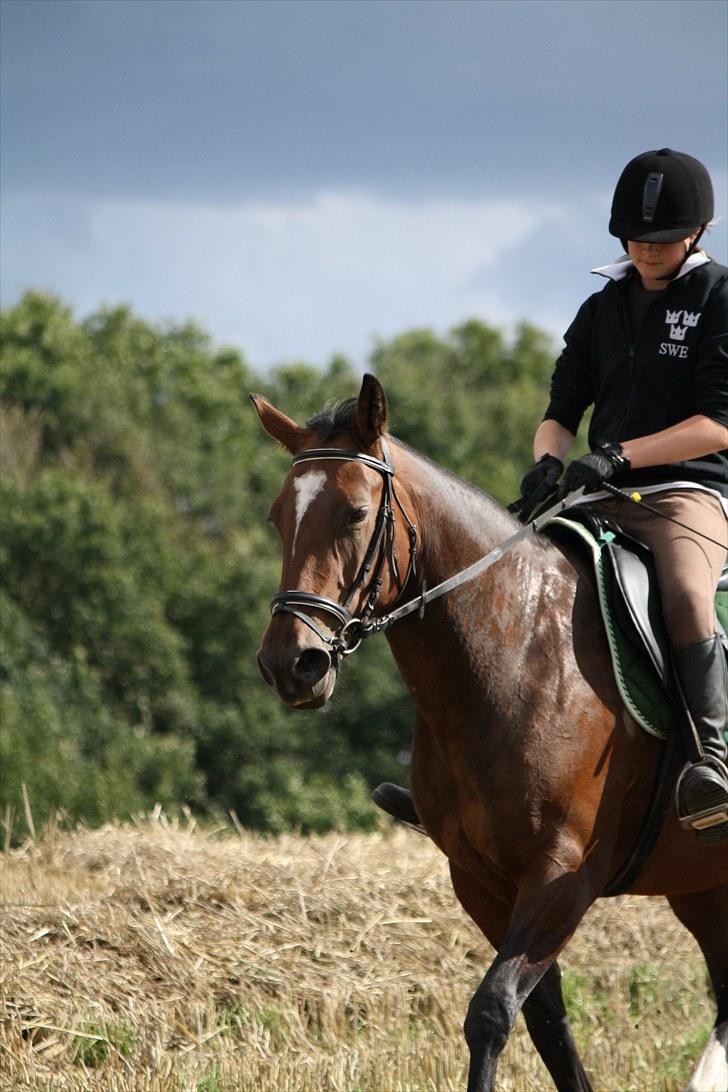 Anden særlig race Luna - Foto : Min mor billede 10