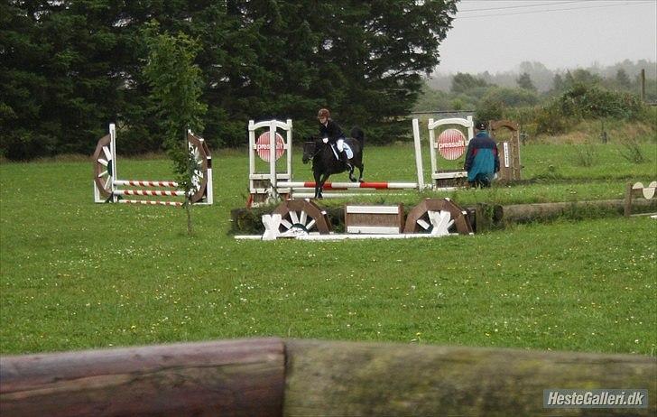 Anden særlig race Simone<3 - Stævne i Tinglev :-* billede 19