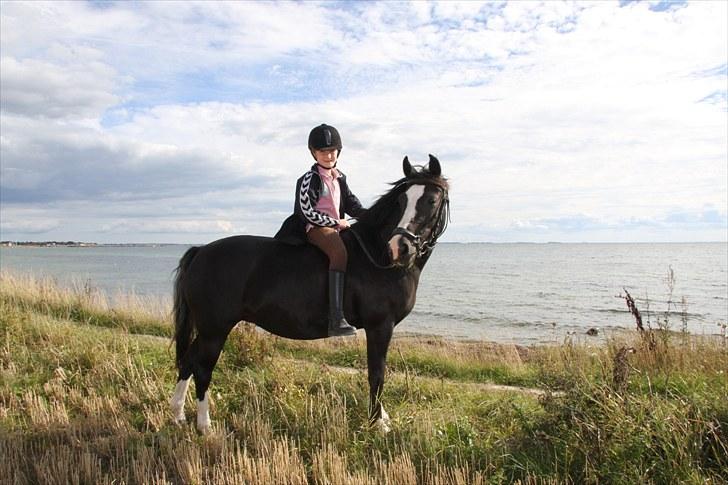 Anden særlig race Blacky *SOLGT* billede 10