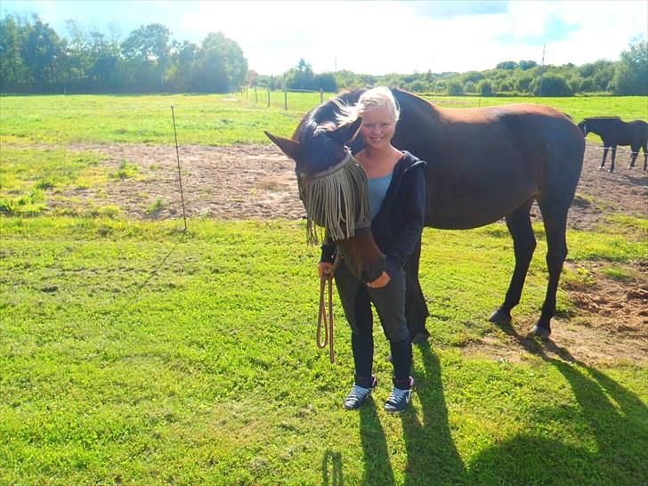 Dansk Varmblod Sun Shine  - Sun Shine og mig :-) billede 7