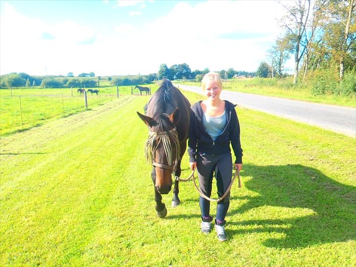 Dansk Varmblod Sun Shine  - Mig og Sun Shine billede 8