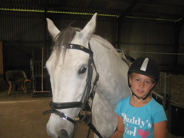 DSP Holmgaards Galant SOLGT ;( - Jeg ser lige om Emilia står pænt. Se lige Kalles øjne billede 4