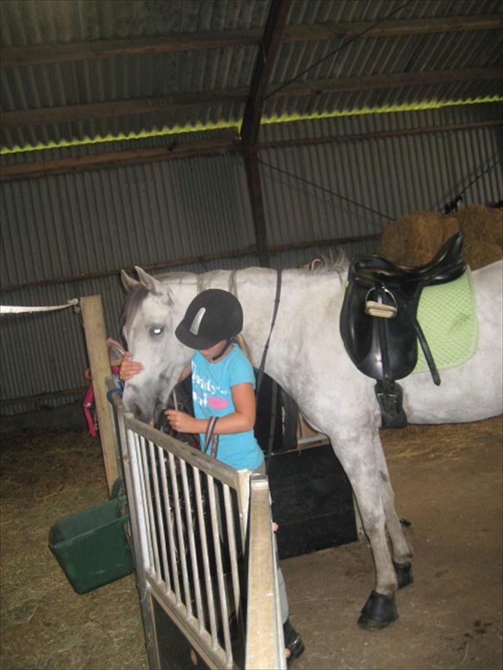 DSP Holmgaards Galant SOLGT ;( - Jaaa... bid ud af munden :) billede 11