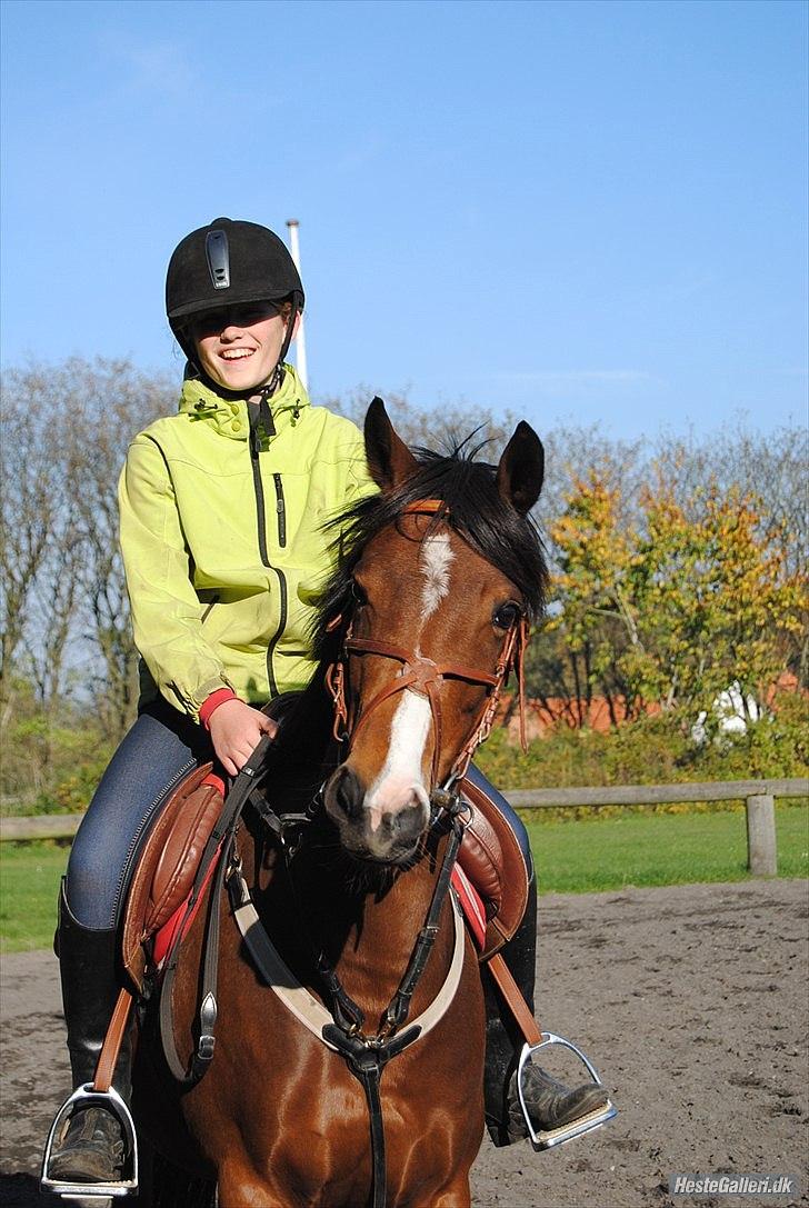 DSP - ELVITA <3 - "Dage uden dig er som dage uden håb, men et liv uden dig vil være som et liv uden fremtid"

 Foto: MSP d. 10 oktober 2010 billede 10