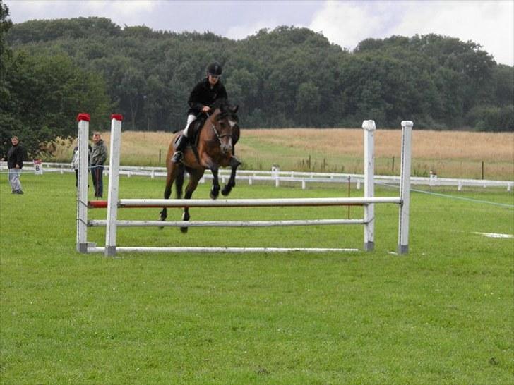 New Forest Stardust  - stævne 29 august 2010 billede 2