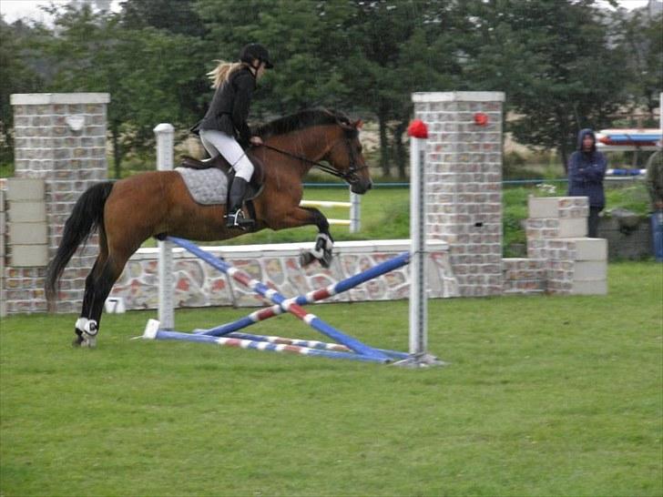 New Forest Stardust  - stævne 29 august 2010 billede 10