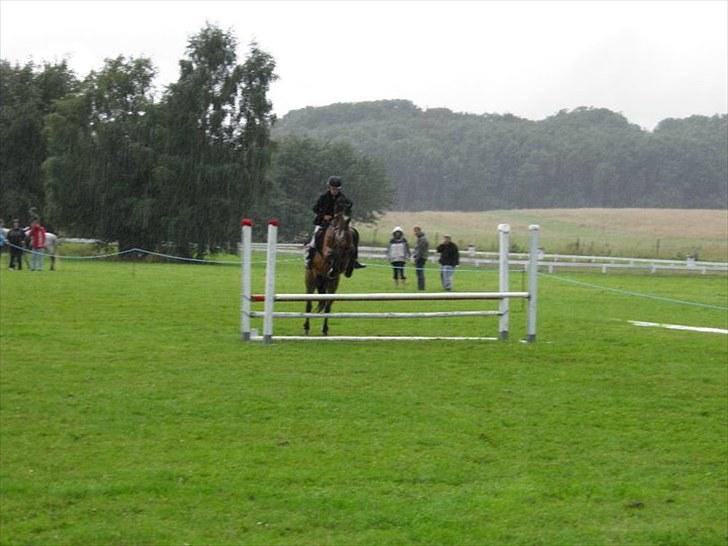 New Forest Stardust  - stævne 29 august 2010 billede 5