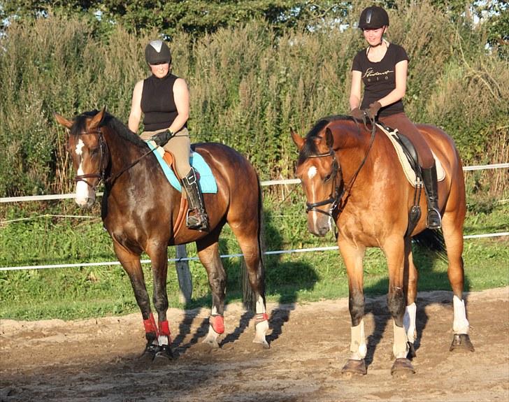 Holstener C-Hightower Højgård - Hightower Højgård og Rie. Takila Højgård og jeg to store smukke heste. 2010 billede 17