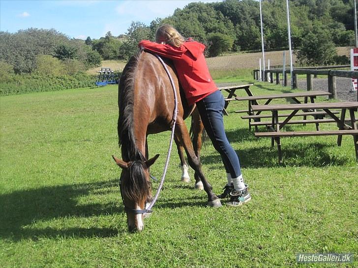 DSP - ELVITA <3 - "Når noget er perfekt, er det ikke fordi det er fejlfrit, men fordi du ikke ønsker det anderledes"

 Foto: Johanna d. 4 september 2010 billede 14