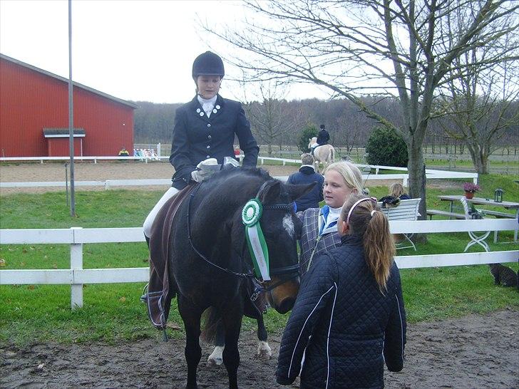 DSP Græsmarkens Major B-pony billede 18