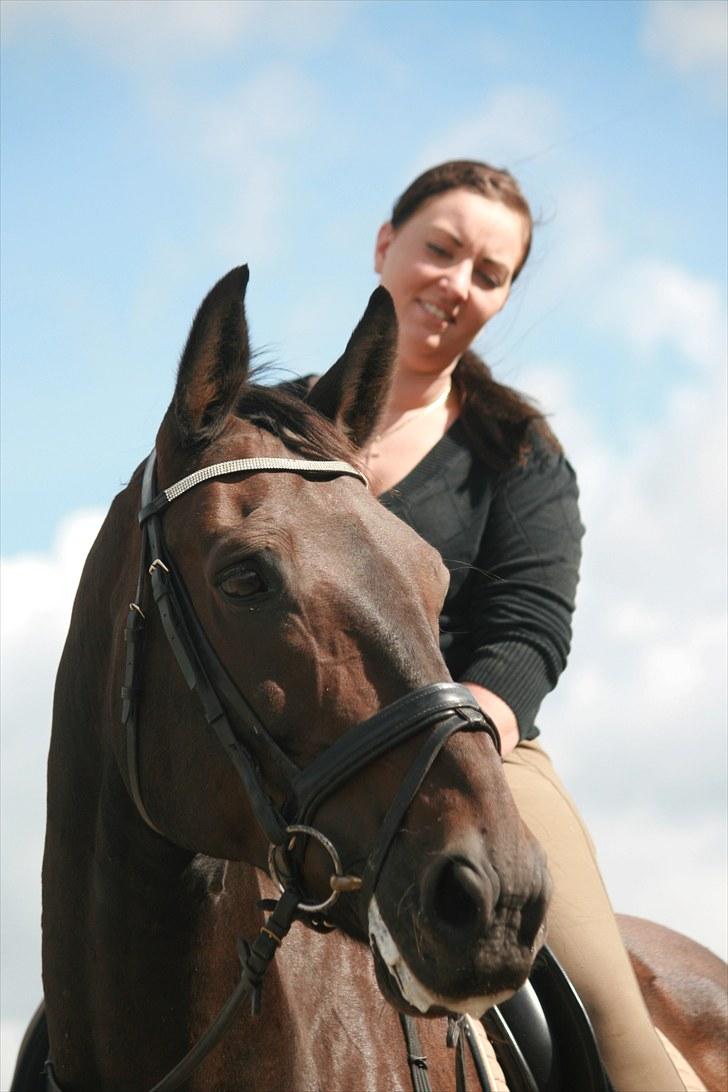 Oldenborg Skjaldhøj Tobias  - Foto: Pernille Carlsen billede 1