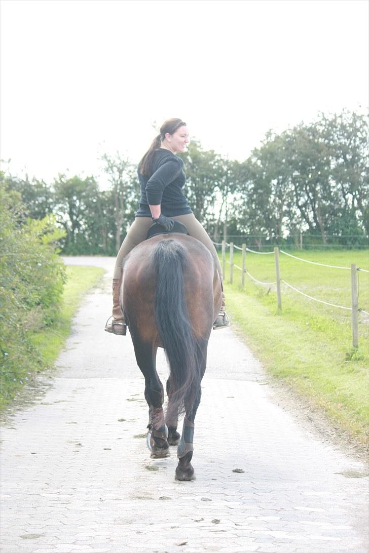 Oldenborg Skjaldhøj Tobias  - Foto: Pernille Carlsen billede 4