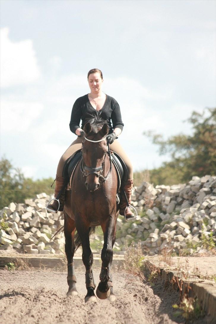Oldenborg Skjaldhøj Tobias  - Foto: Pernille Carlsen billede 5