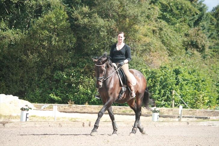 Oldenborg Skjaldhøj Tobias  - Foto: Pernille Carlsen billede 6