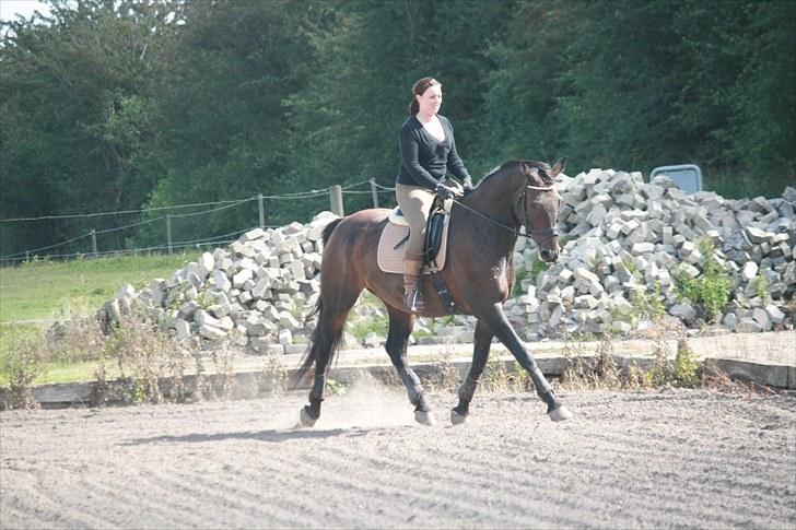 Oldenborg Skjaldhøj Tobias  - Foto: Pernille Carlsen billede 8