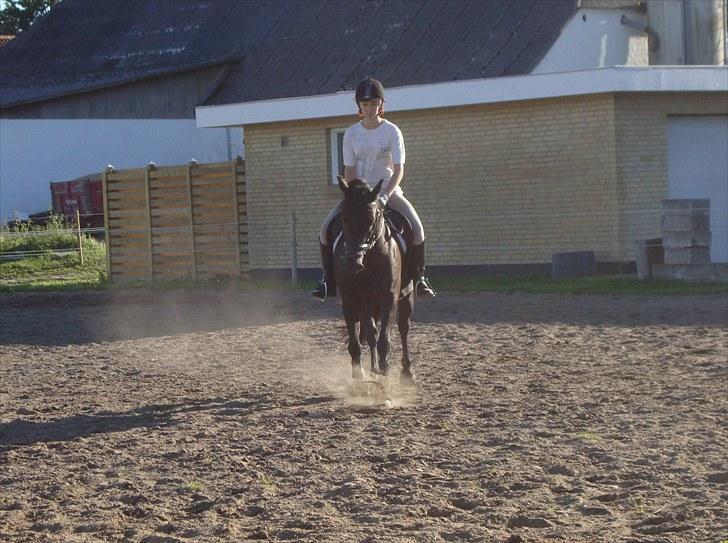 Anden særlig race Casanto - Billede 14 billede 15