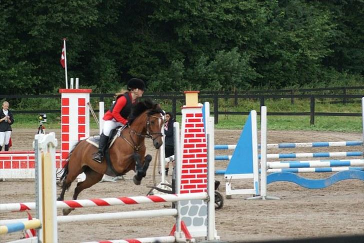 Anden særlig race Tantassaig Sandie  - NSR stævnet. Nr. 4 i lb & Nr. 3 i la :-) billede 14