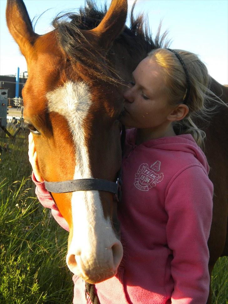 DSP Haahr´s Kithara †R.I.P† D.23. Aug 2010 :-( - De sidste par timer :( billede 20