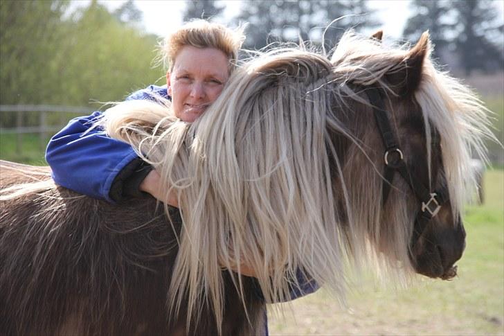 Irish Cob Mr. Morrison *solgt :'(* - Min mor og Morrison (; billede 19